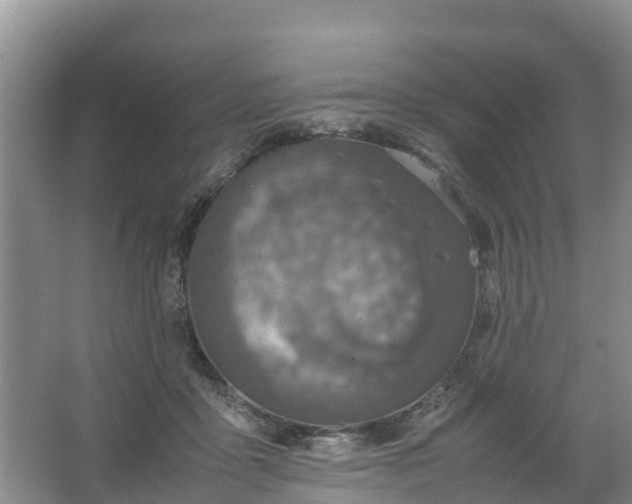 X0000067460411200604142330