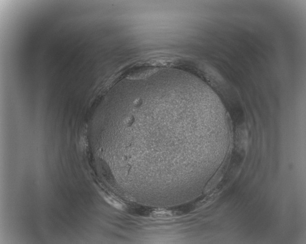 X0000067460413200604142330