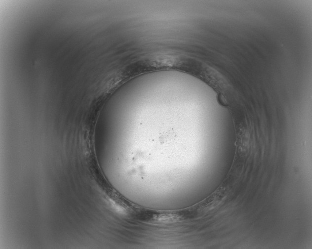 X0000067460414200604142330