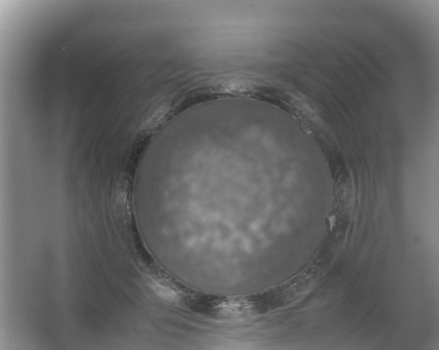 X0000067460415200604142330