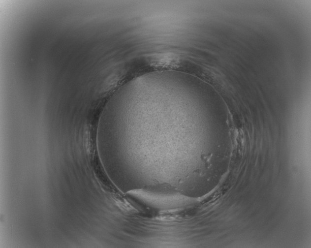 X0000067460416200604142330