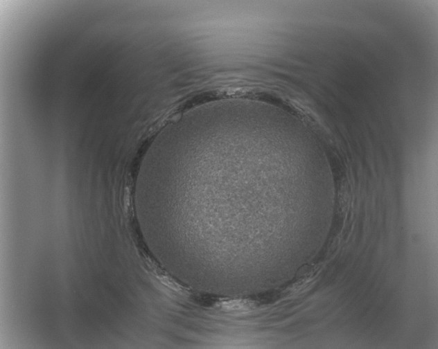 X0000067460417200604142329