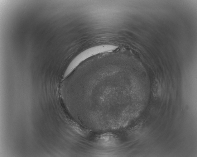 X0000067460420200604142329