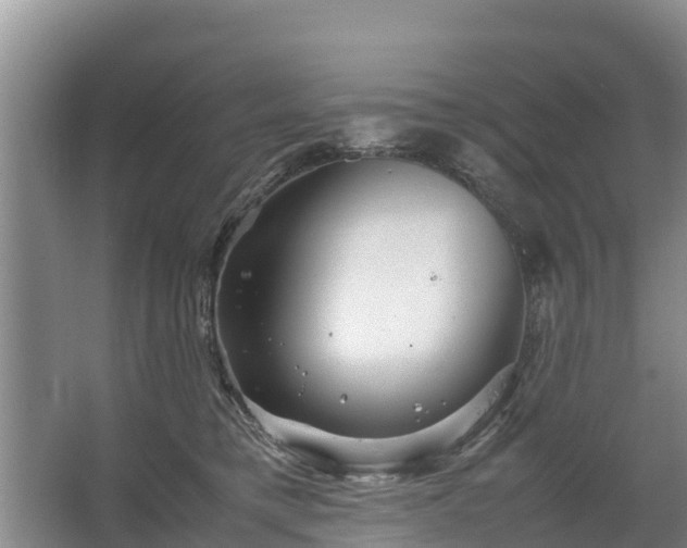 X0000067460421200604142329