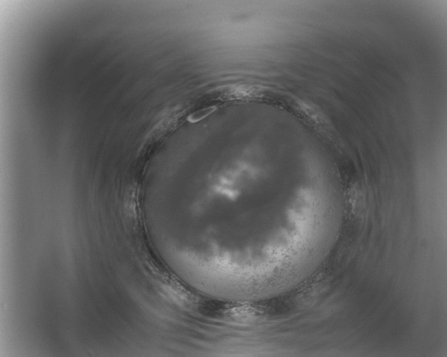 X0000067460423200604142329