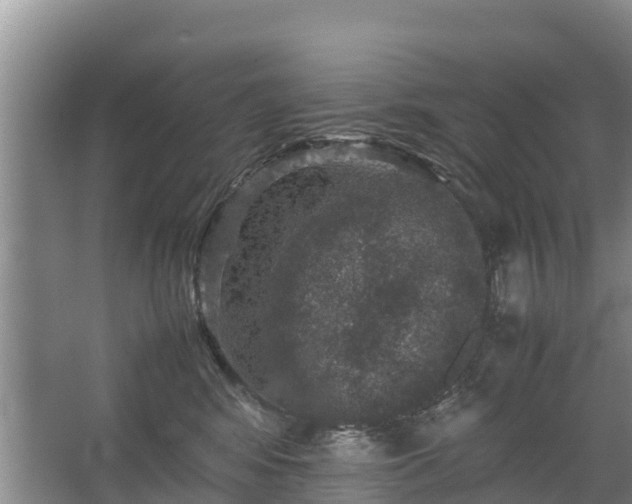 X0000067460424200604142329