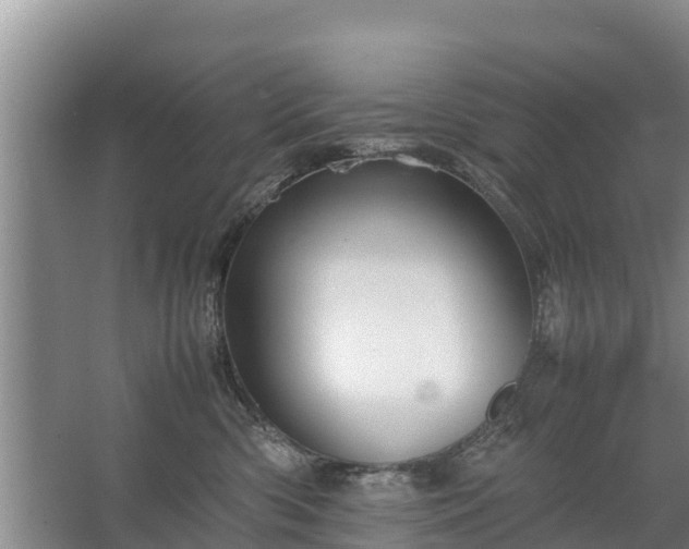 X0000067460426200604142329