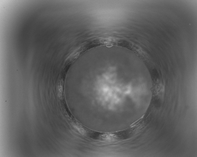 X0000067460427200604142329