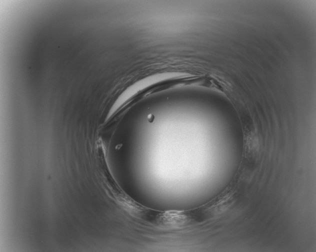 X0000067460429200604142329