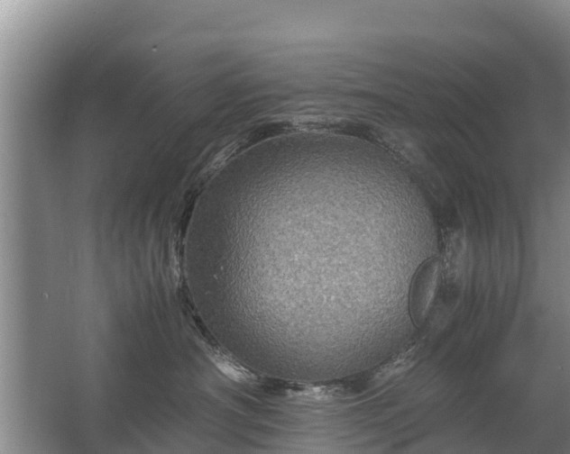 X0000067460430200604142329