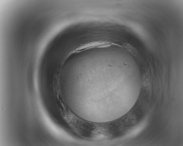 X0000067460431200604142329