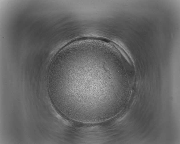 X0000067460433200604142328