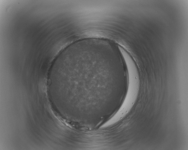 X0000067460434200604142328