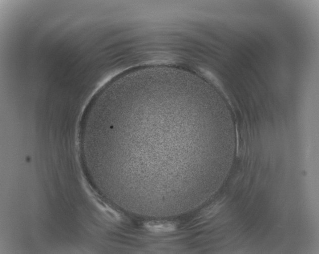 X0000067460435200604142328