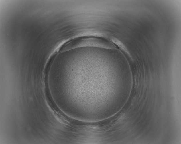 X0000067460436200604142328