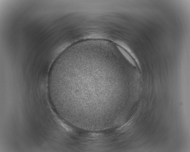 X0000067460437200604142329