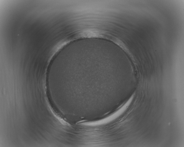 X0000067460438200604142329