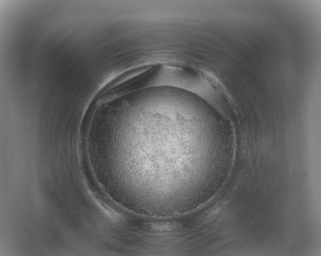 X0000067460439200604142329