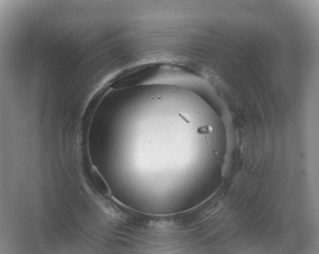 X0000067460440200604142329