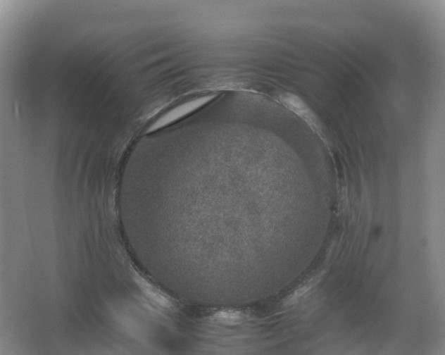 X0000067460441200604142329