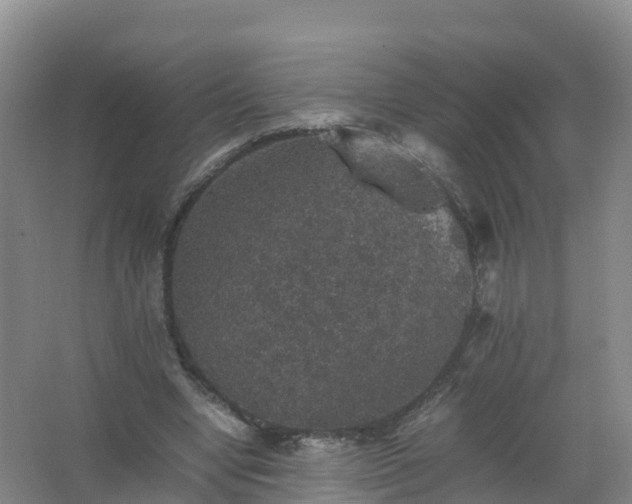 X0000067460442200604142329