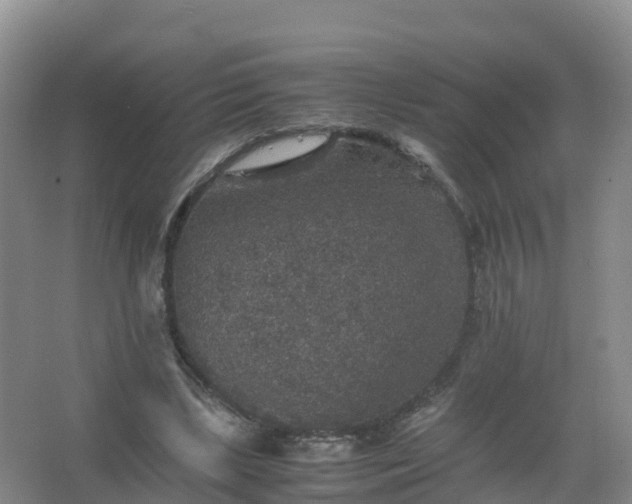 X0000067460443200604142329