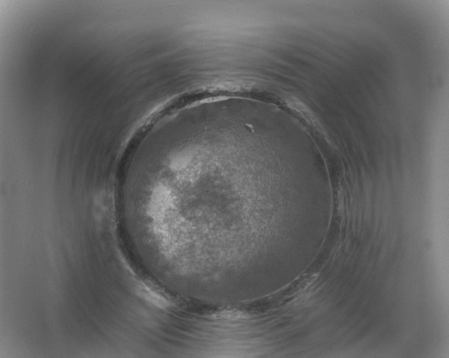 X0000067460444200604142329