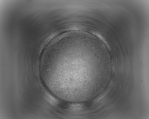 X0000067460445200604142329