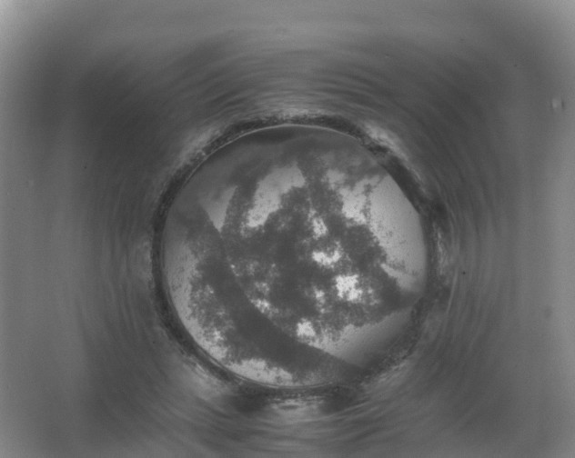 X0000067460447200604142329