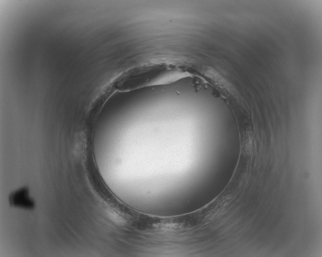 X0000067460448200604142329