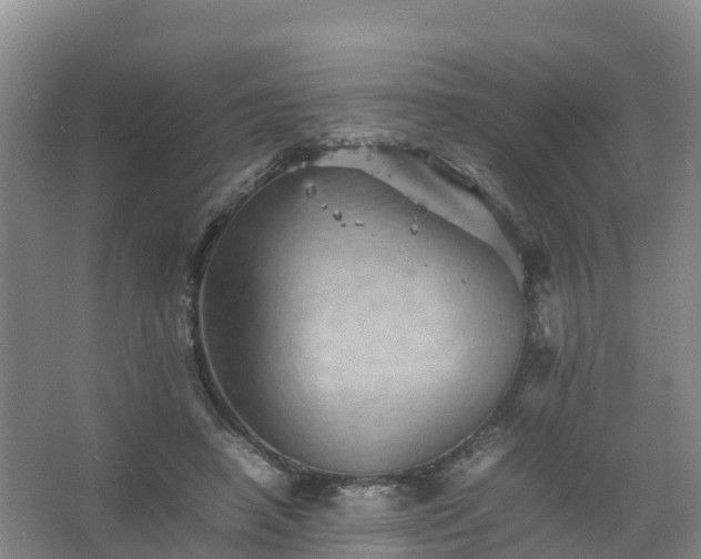 X0000067460450200604142329