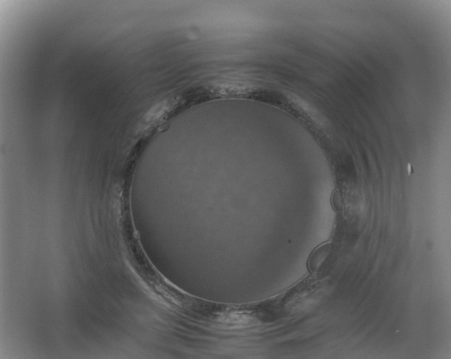 X0000067460451200604142329