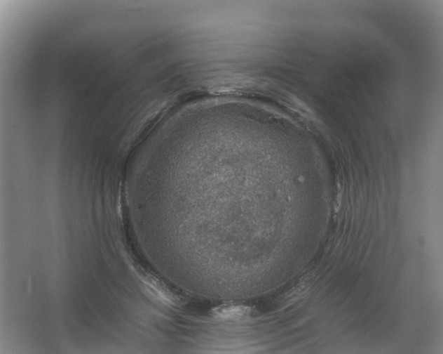 X0000067460452200604142329