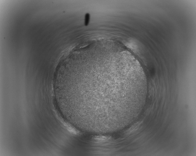 X0000067460453200604142329