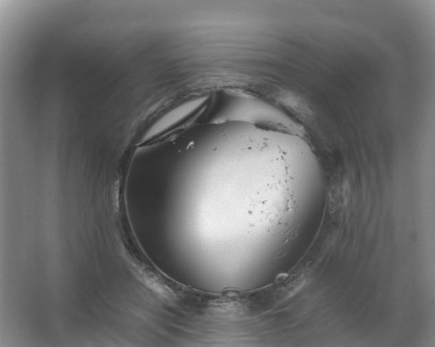 X0000067460454200604142329