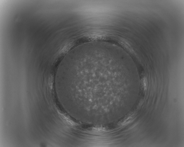 X0000067460458200604142329