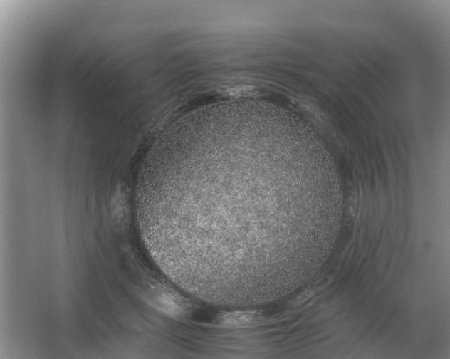 X0000067460461200604142329