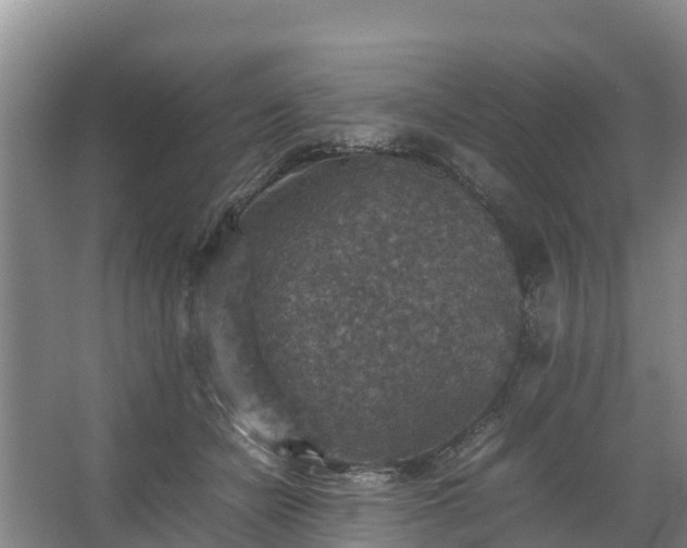 X0000067460462200604142329