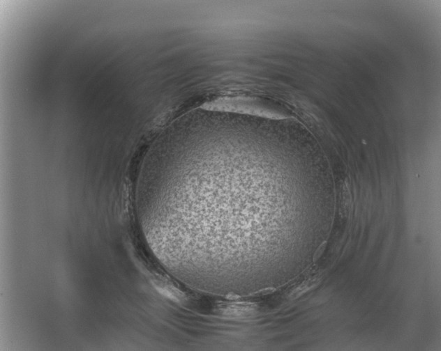 X0000067460463200604142329