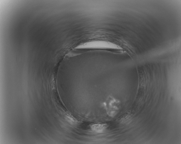 X0000067460465200604142329