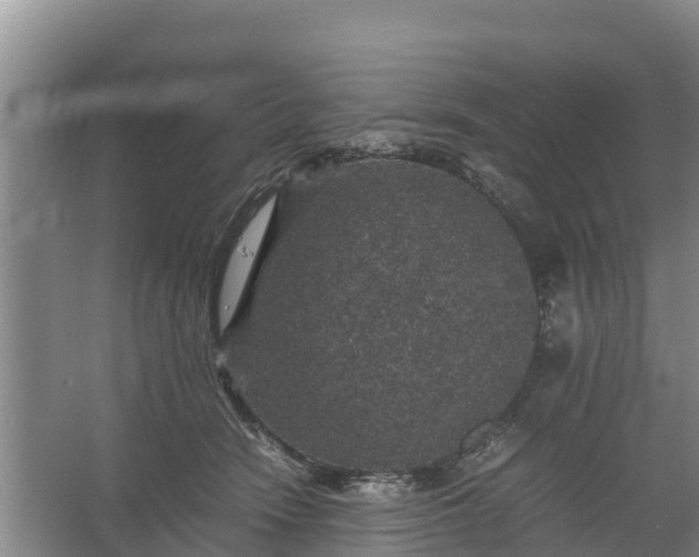 X0000067460466200604142329