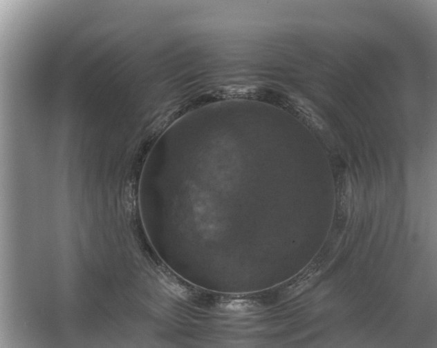 X0000067460467200604142329