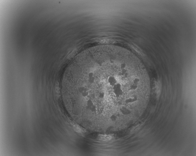 X0000067460469200604142329