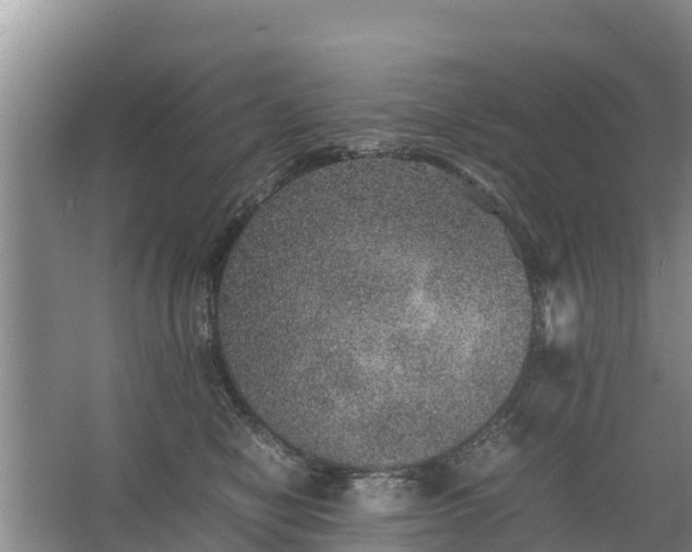 X0000067460470200604142329