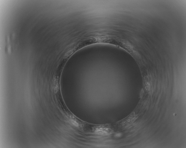 X0000067460471200604142329