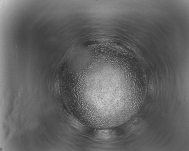 X0000067460473200604142329