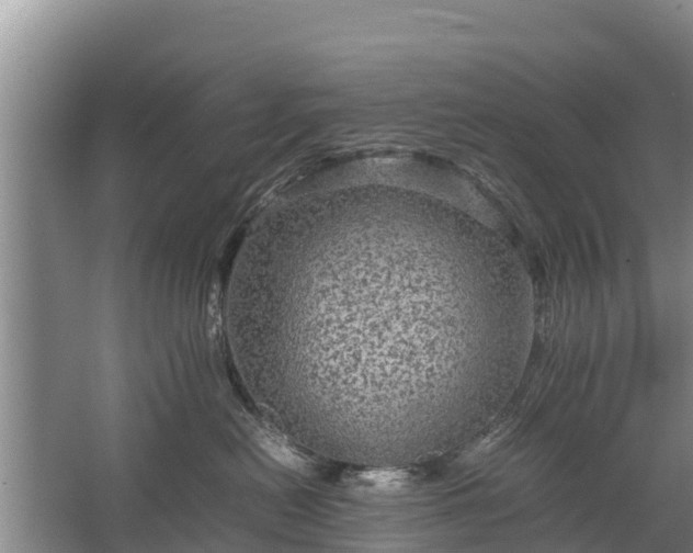 X0000067460478200604142329