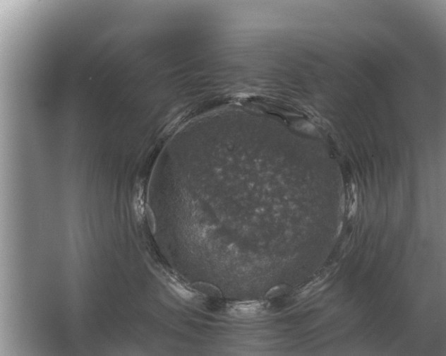 X0000067460479200604142329