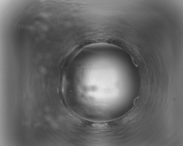 X0000067460480200604142329