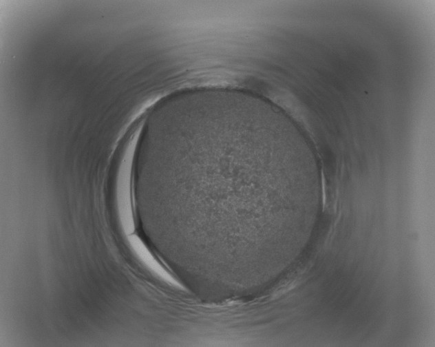 X0000067460483200604142328